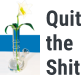 Logo Quit The Shit: zur Startseite