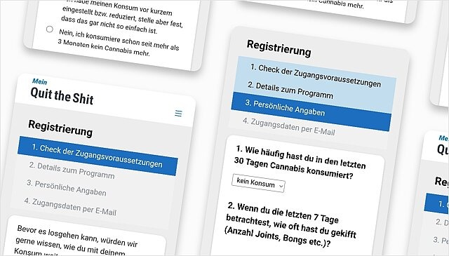 Screenshot zum Programm-Schritt: Anmeldung